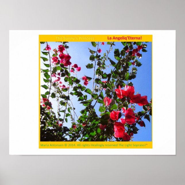 Pôster O Rosariankrantz da Lâmpada Aurorária! * (Frente)