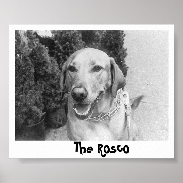 Poster O Rosco (Frente)