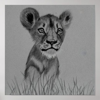 Poster O Runt da Litter