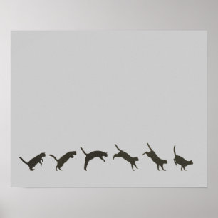 Pôster O salto dos gatos
