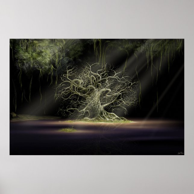 Pôster O Segredo 1 (Frente)