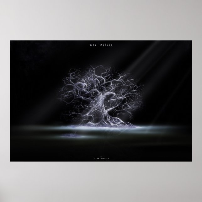 Poster O segredo 2 (Frente)