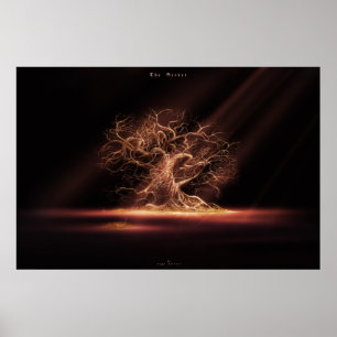 Poster O segredo 3