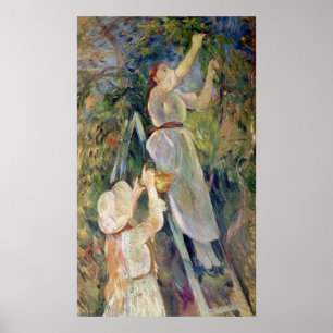 Poster O Seletor de Cereja