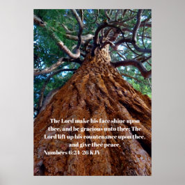 Poster O Senhor faz seu rosto brilhar, elevando