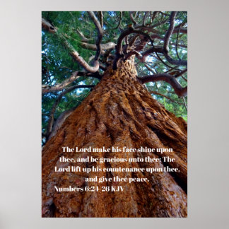 Poster O Senhor faz seu rosto brilhar, elevando