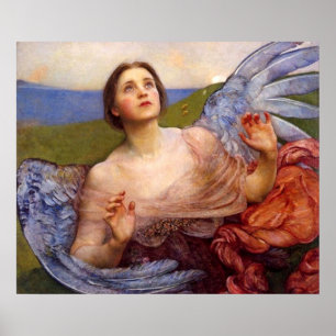 Pôster O Sentido da Visão