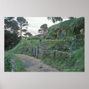 PÔSTER O SHIRE™