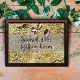 Poster O silêncio raramente prejudica a sabedoria dizer p