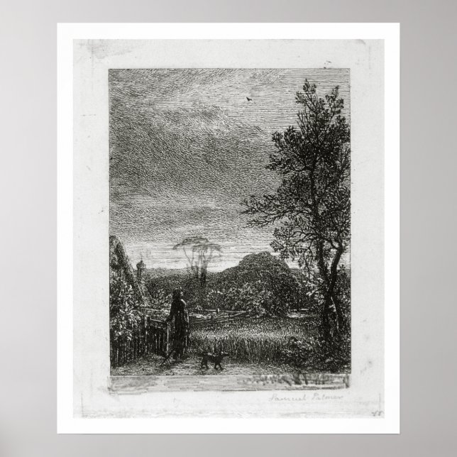 Pôster O Skylark (gravação) (Frente)