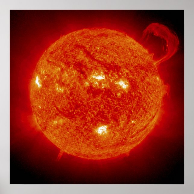 Pôster O Sol (Frente)