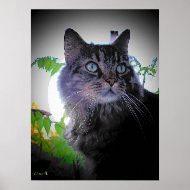 Poster O sol da manhã sobe (Frente)