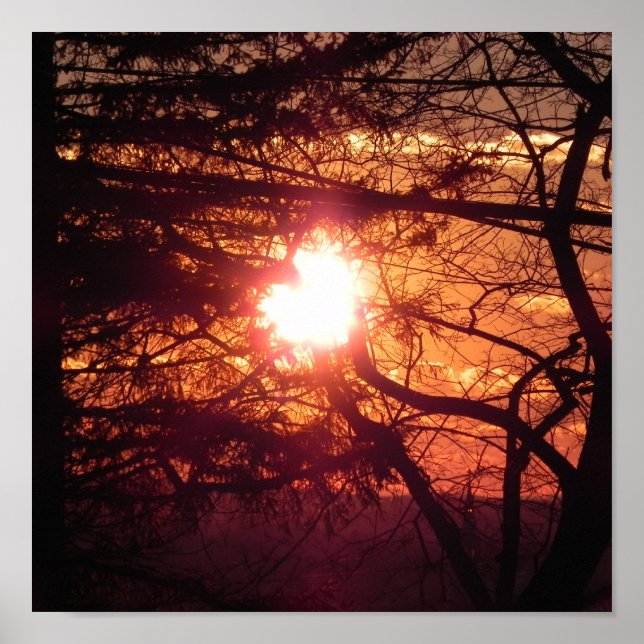 Pôster O Sol de Inverno (Frente)