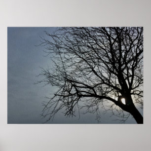 Poster o sol está se escondendo