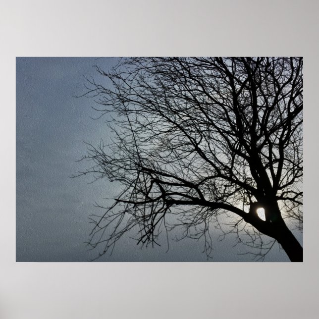 Poster o sol está se escondendo (Frente)