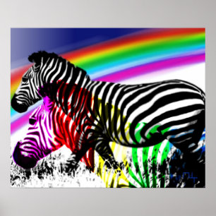 Pôster O sonho das zebras 'vem verdadeiro