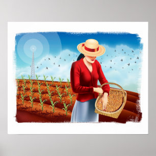 Pôster O Sower