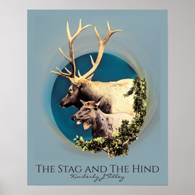 Poster O Stag e o Hind (Frente)