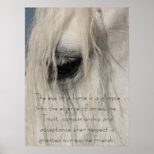 Poster O tipo de olho de Gulliver