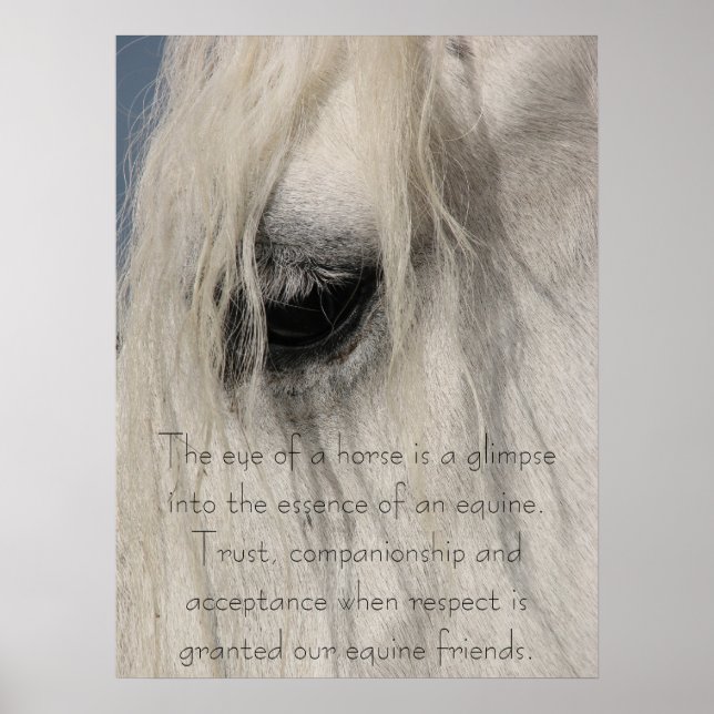 Poster O tipo de olho de Gulliver (Frente)