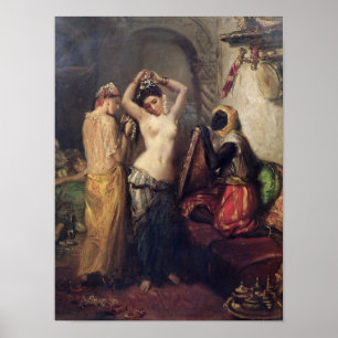 Pôster O toalete no seralho