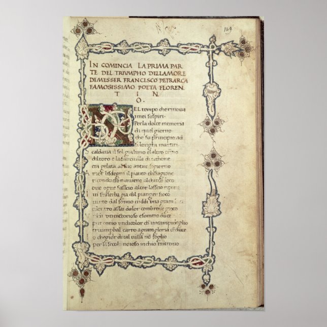 Pôster O triunfo do amor (Frente)