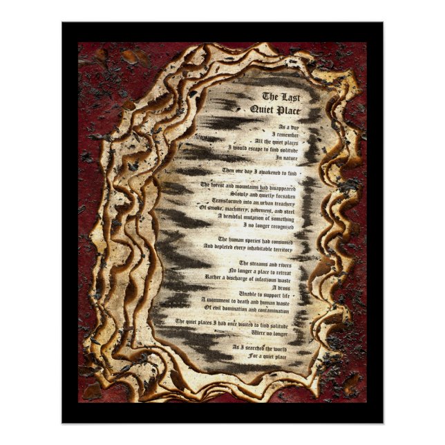 Pôster O último lugar silencioso (Frente)