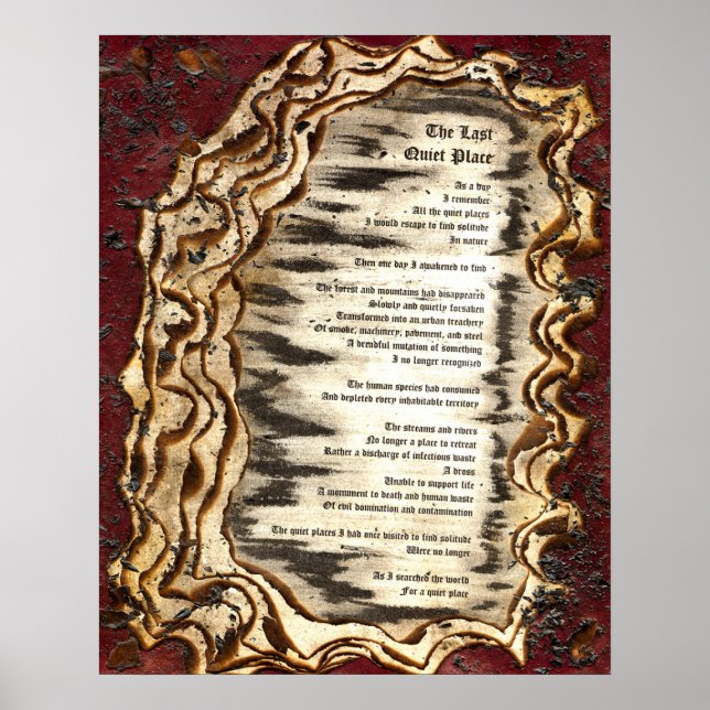 Pôster O último lugar silencioso (Frente)