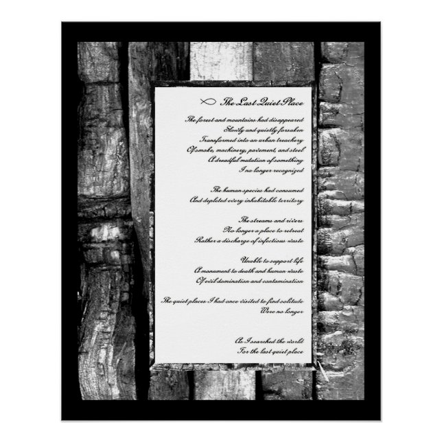 Pôster O último lugar silencioso (Frente)