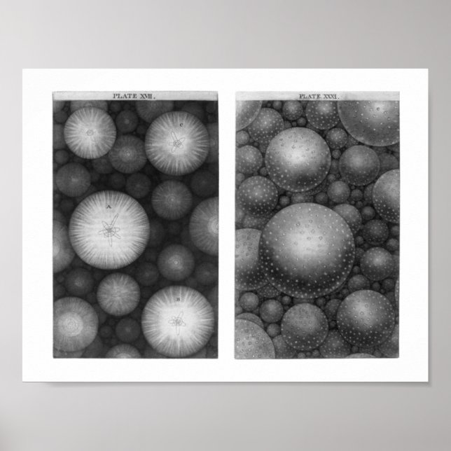 Pôster O Universo de Thomas Wright (Frente)