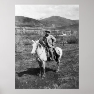 Pôster O ursinho vai urso Caça, 1905