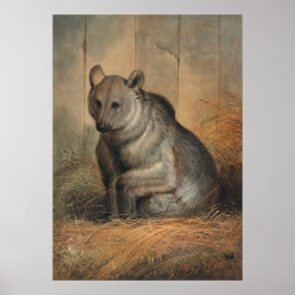 Poster O Urso Sírio de Joseph Wolf