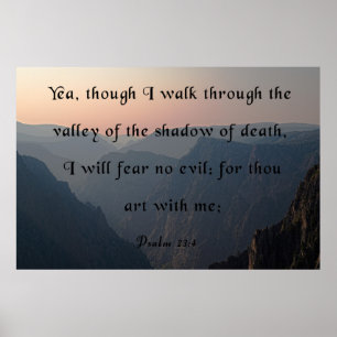 Poster O Vale da Sombra da Morte