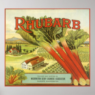 Poster O vegetal do vintage pode etiquetar a arte,