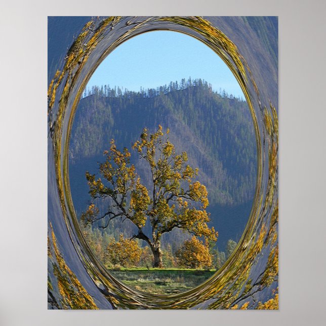 Poster O velho carvalho..... (Frente)