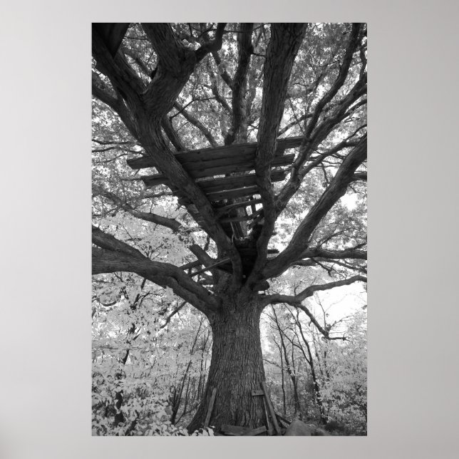 Pôster O Velho Forte (Frente)