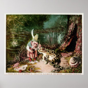 Pôster O Velho Homem das Florestas