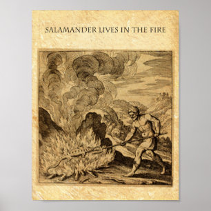 PÔSTER O VENDEDOR DE INCÊNDIO OCULTO