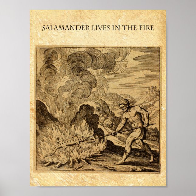 PÔSTER O VENDEDOR DE INCÊNDIO OCULTO (Frente)