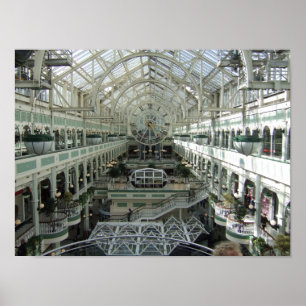 Pôster O verde de Stephen, Dublin