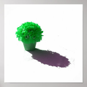 Poster O verde floresce o balde e a sombra brancos