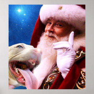 Pôster o vermelho cheirou o cão & o Papai Noel de Pitbul