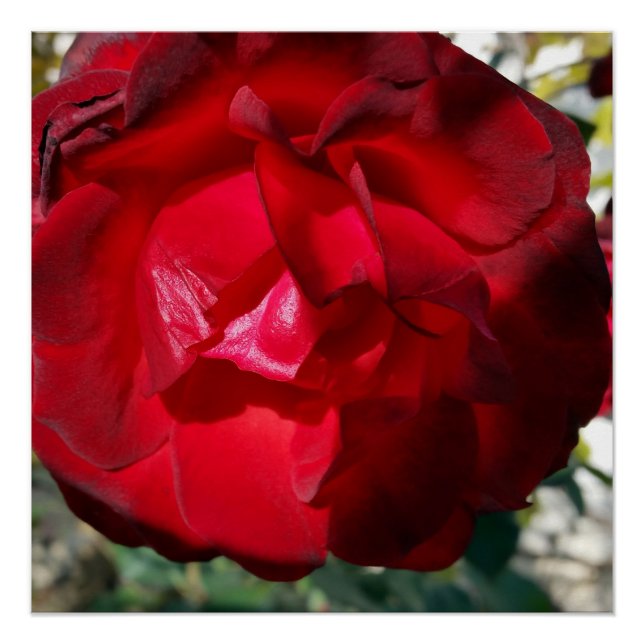 Pôster O vermelho do outono (Frente)