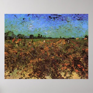 Pôster O Vinhedo Verde por Vincent van Gogh