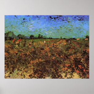 Pôster O Vinhedo Verde por Vincent van Gogh