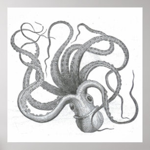 Poster O vintage náutico do polvo do steampunk kraken o