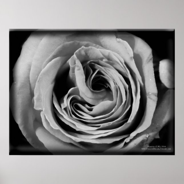 Pôster O Void (Frente)