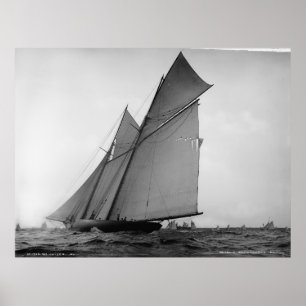 Pôster O Voluntário