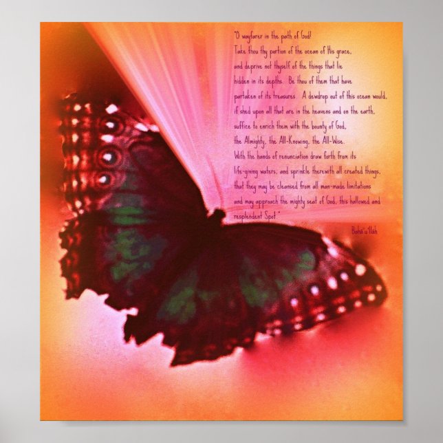 Pôster O Wayfarer (Frente)