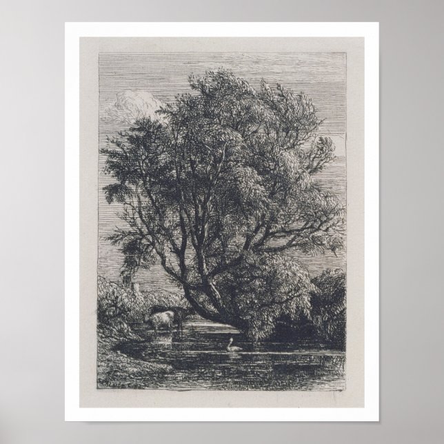 Poster O Willow (gravação) (Frente)